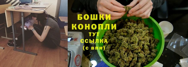 2c-b Каменка