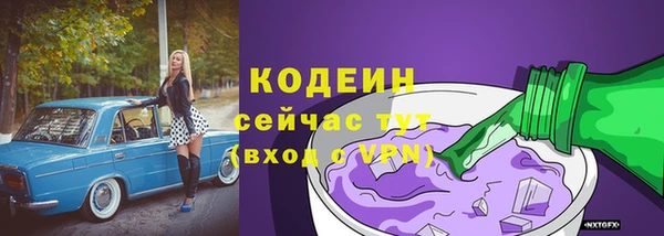 2c-b Каменка