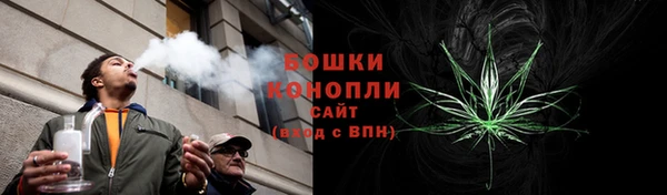 дживик Карпинск