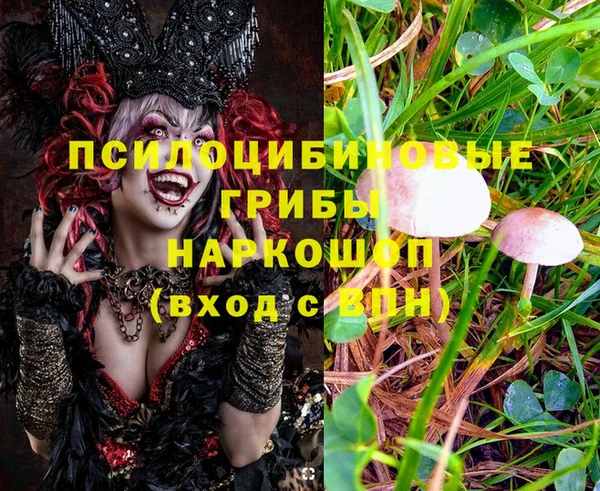 COCAINE Каменск-Шахтинский