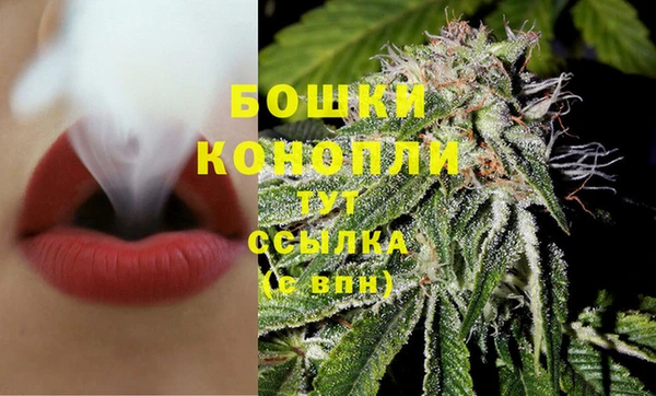 2c-b Каменка